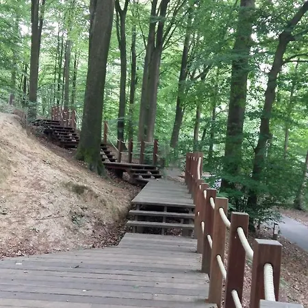 Le Reclus Bed and Breakfast Mont-de-l'Enclus