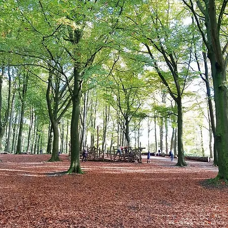 Le Reclus Bed and Breakfast 4*