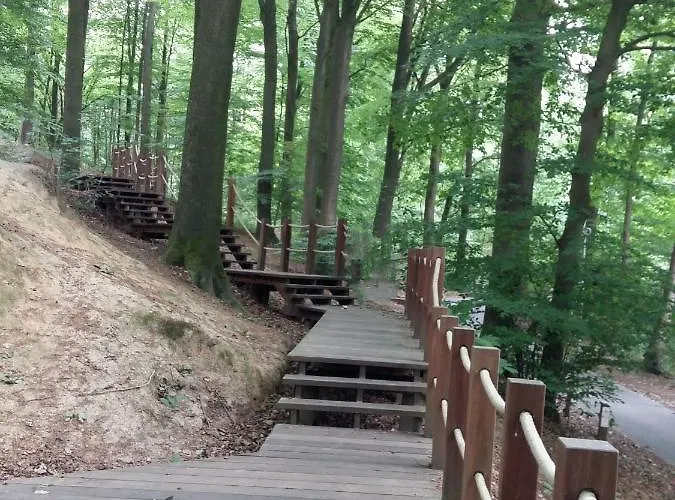 Le Reclus Bed & Breakfast Mont-de-l'Enclus